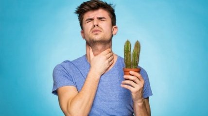 Чем лечить боль в горле: 10 советов для взрослых