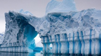 Невероятная находка: что ученые нашли в Антарктиде