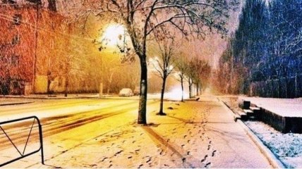 Больше всего снега выпало в Святошинском и Оболонском районах Киева