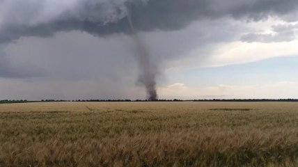 Иллюстративное фото