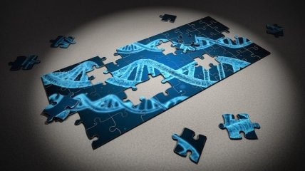 В будущем пригодится: создан новый метод хранения данных в ДНК