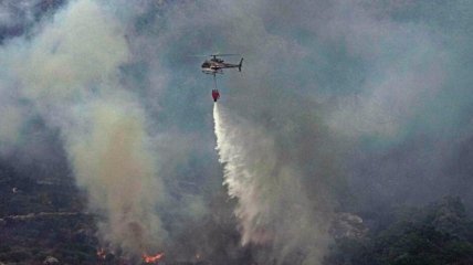 Испания в огне - в Европе горят леса и поля (фото, видео)