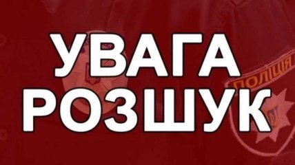 У прикордонному селі на Львівщині з власного двору загадково зникла трирічна дівчинка (фото)