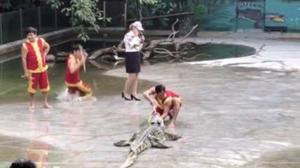 В Китае дрессировщик упал в бассейн с крокодилами во время шоу (Видео)