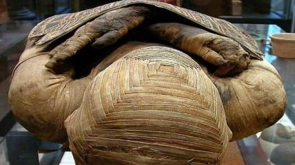 Расшифровка ДНК египетских мумий поразила ученых