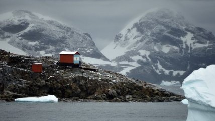 "Нетронутая" природа Антарктиды страдает от туризма и научной деятельности