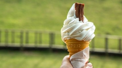 Вкус детства: несколько фактов о мороженом