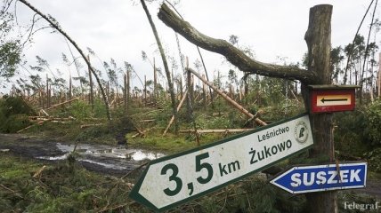 Пять человек погибло от урагана в Польше