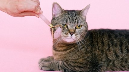 Сделали расклад Таро на финансы для каждого знака Зодиака на неделю с 30 октября по 5 ноября 2023 года