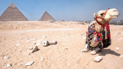Египетские пирамиды будут сдавать в аренду?
