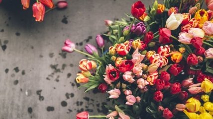 Цветы на 8 Марта: подбираем букет по характеру женщины 