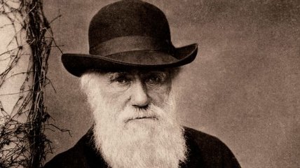 "Происхождение видов" с пометками Дарвина будет продано на аукционе