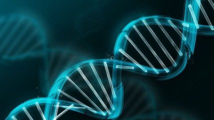 Ученым впервые удалось изменить гены человеческого эмбриона