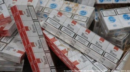 Несколько сотен ящиков контрабандных сигарет изъяли на Закарпатье