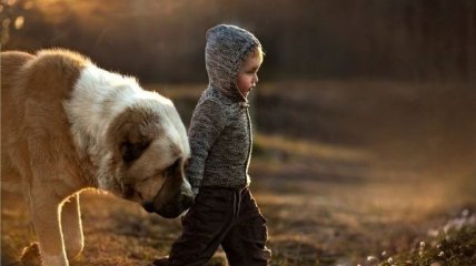 ВИДЕОпозитив: малыш выгуливает собаку