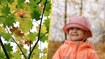 Украинцев ждет комфортное начало сентября