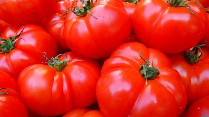 Как заставить помидоры краснеть быстрее