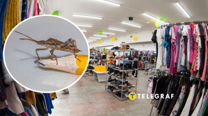 Коллаж "Телеграфа"