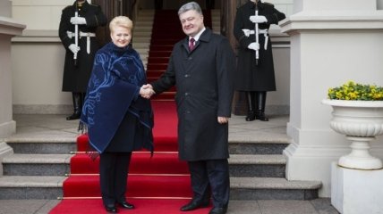 Грибаускайте заявила, что Литва поддерживает европейский выбор Украины