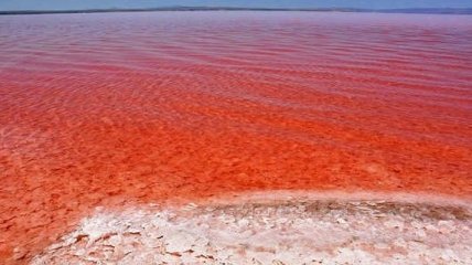 Одно из самых больших озер Турции окрасилось в красный цвет