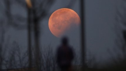 Місячне затемнення в листопаді 2021