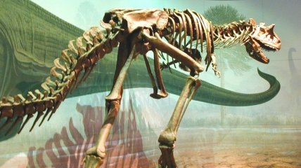 Учеными обнаружены следы белка в костях динозавров