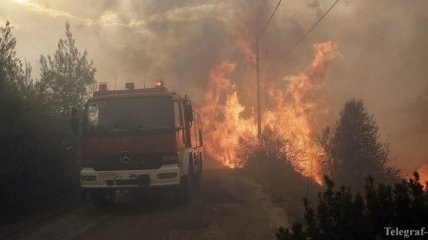 Пожары в Греции: число жертв увеличилось до полусотни