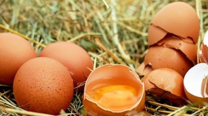 ТОП-10 фактов про сырые яйца, которые полезно знать каждому