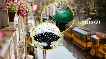 В середине весны ожидаются дожди