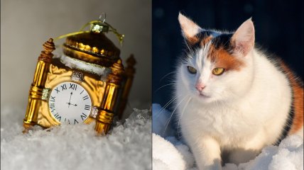 Что нужно и нельзя делать 14 января