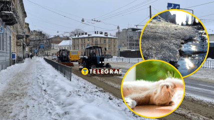 На Харьков идет потепление