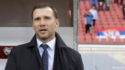 Шевченко: Ибрагимович по-прежнему способен дать многое любому клубу