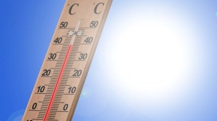 Климатологи: этот год стал самым жарким за последние тысячи лет 
