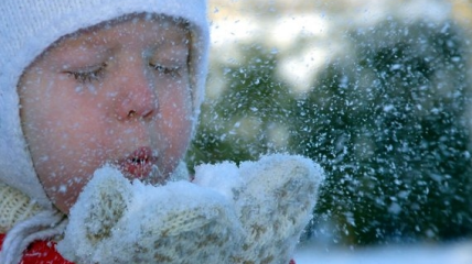 В школах Киева отменили занятия из-за сильного снегопада