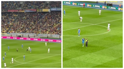 Во время игры Украина - Франция на поле выбежал ребенок