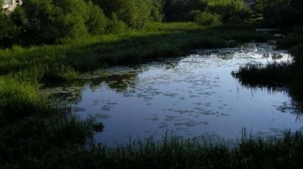 На Житомирщине очистят от загрязнения реки