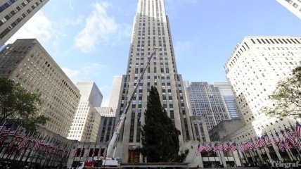 На нью-йоркской Рокфеллер-плаза установлена главная елка