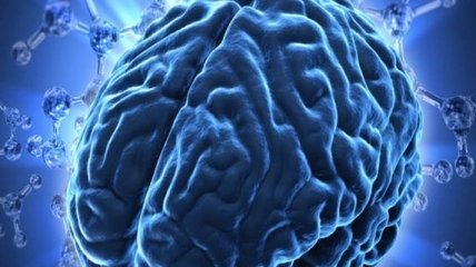 Ученым удалось создать в пробирке точную копию человеческого мозга