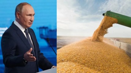 Путинский режим получает за зерно деньги, которыми финансирует войну в Украине