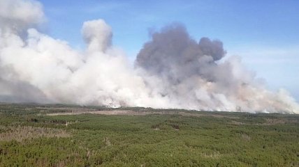 Лесные пожары из Беларуси перекинулись на Житомирщину   