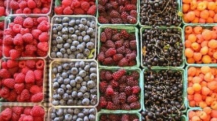 Список самых полезных для организма ягод