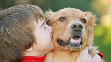 Малыш и собака: 6 советов родителям