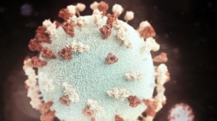 У ВООЗ розповіли наслідки коронавірусу на організм після одужання 