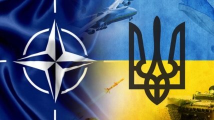 В США напомнили, что надо сделать Украине, чтобы вступить в НАТО