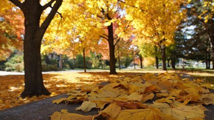 В Киеве установлен очередной температурный рекорд