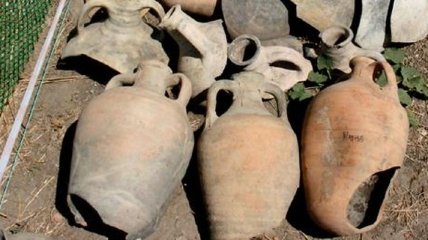 Обнаружены следы самого древнего в мире вина 
