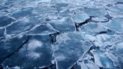 Ученые: Объем ледяного покрова в Арктике увеличился на треть