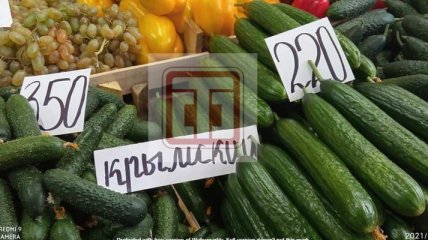 Огурцы, выращенные в Крыму в несколько раз дороже  импортных бананов и мандарин: будни оккупированного полуострова