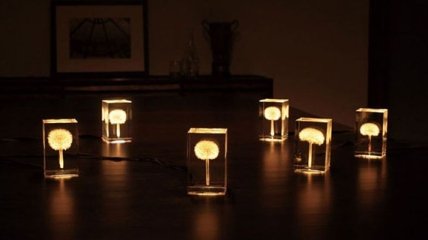 Необычные креативные светильники (Фото)