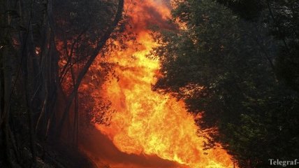 В Канаде бушуют сильные лесные пожары